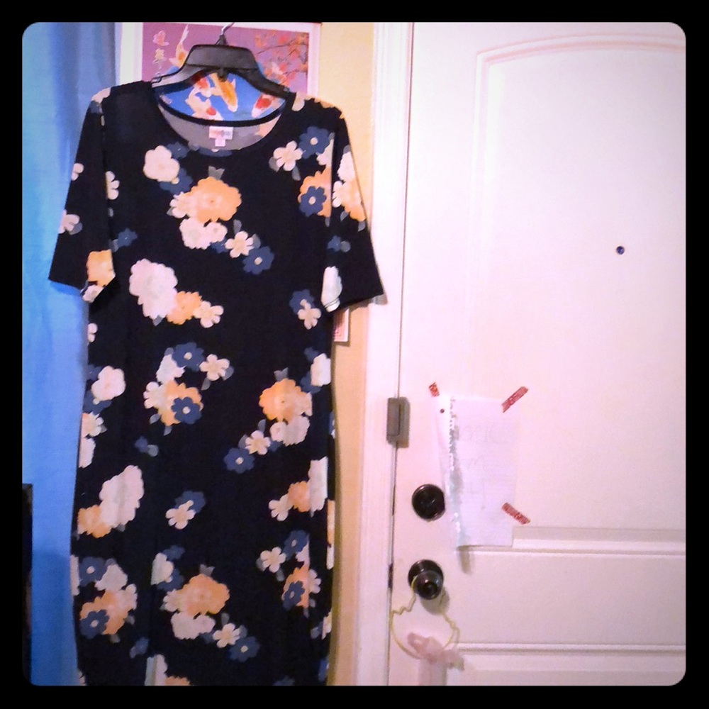 BNWT 2Xl LuLaRoe Julia!